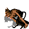 body-00064.png